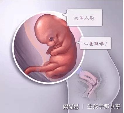 顕微授精 ICSI